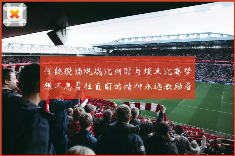 任航现场观战比利时与埃及比赛梦想不息勇往直前的精神永远激励着我们