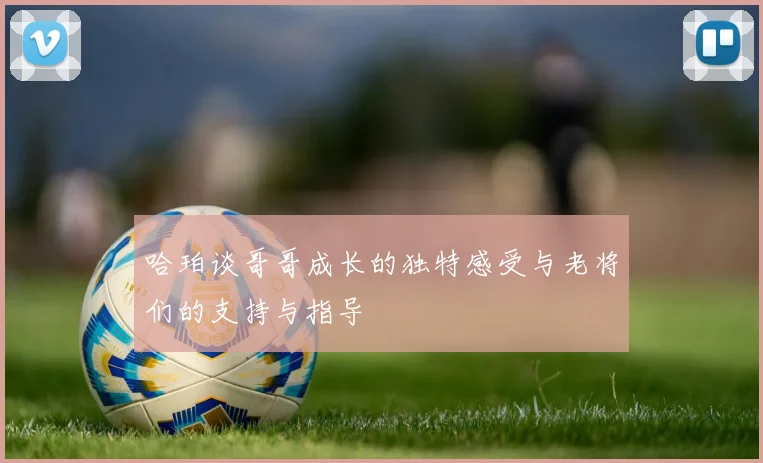 哈珀谈哥哥成长的独特感受与老将们的支持与指导